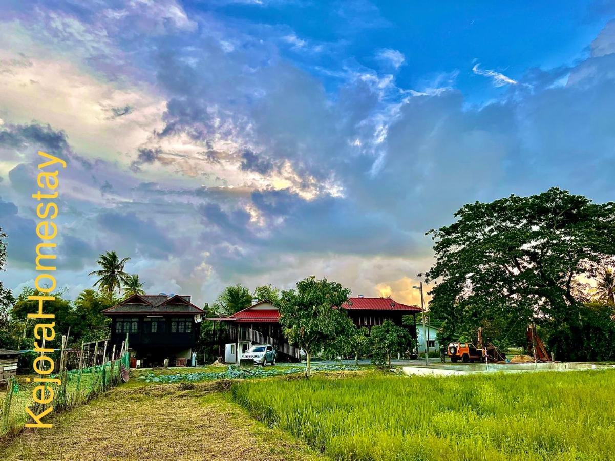 Kejora Homestay Kangar Bagian luar foto