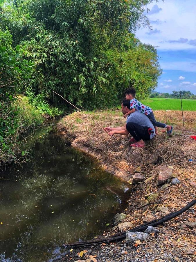 Kejora Homestay Kangar Bagian luar foto