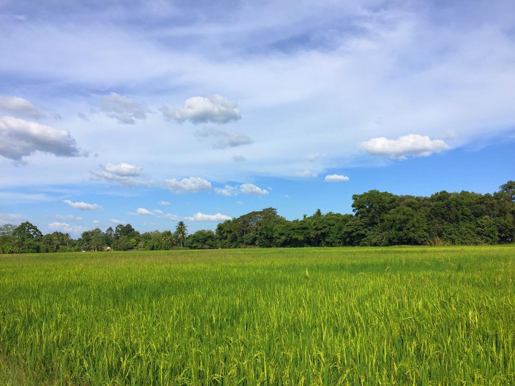 Kejora Homestay Kangar Bagian luar foto